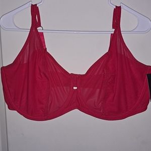 Red bra